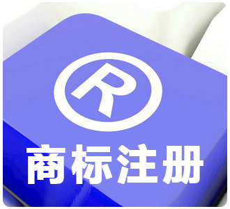 2024年东莞商标注册流程解析